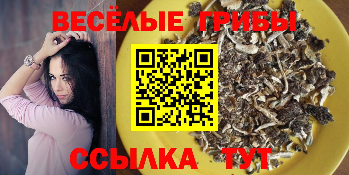 Дзержинский  Псилоцибиновые грибы Psilocybine cubensis  наркошоп  Вход с VPN 