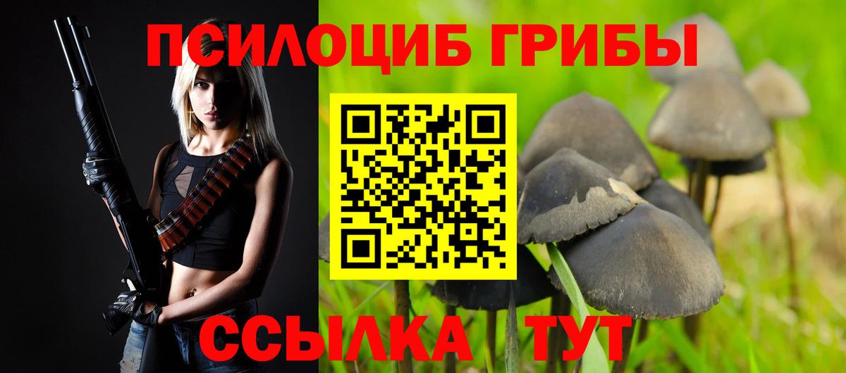 Псилоцибиновые грибы Psilocybine cubensis Дзержинский